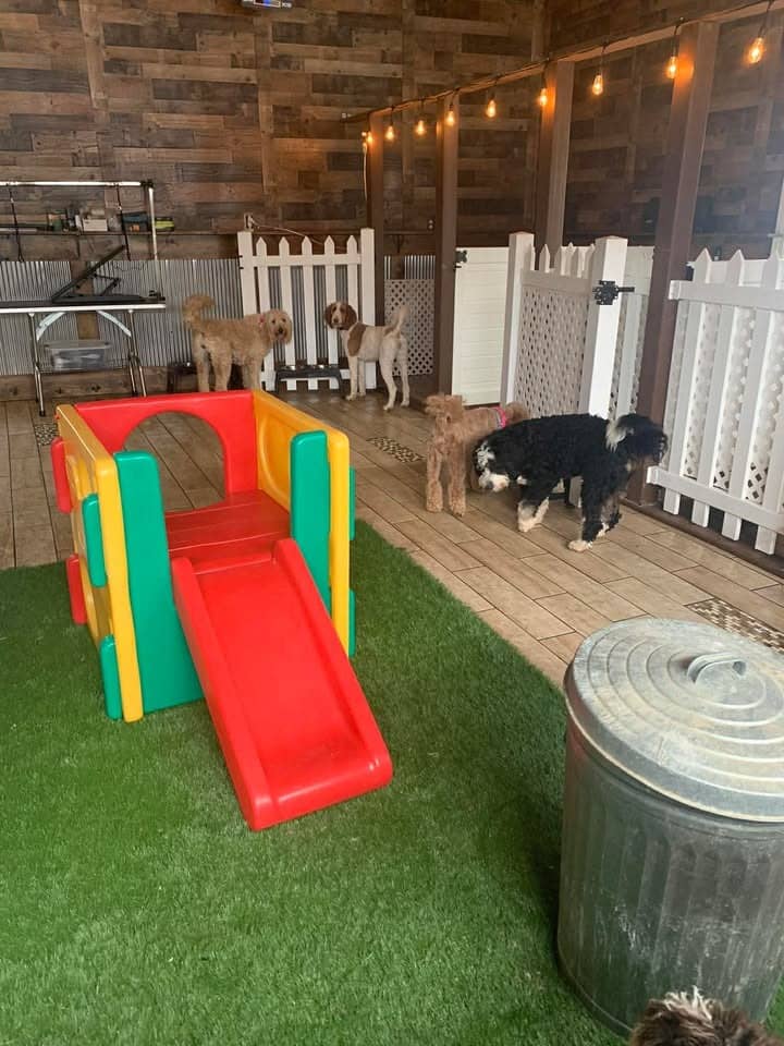 Puppy play area with slide and toys