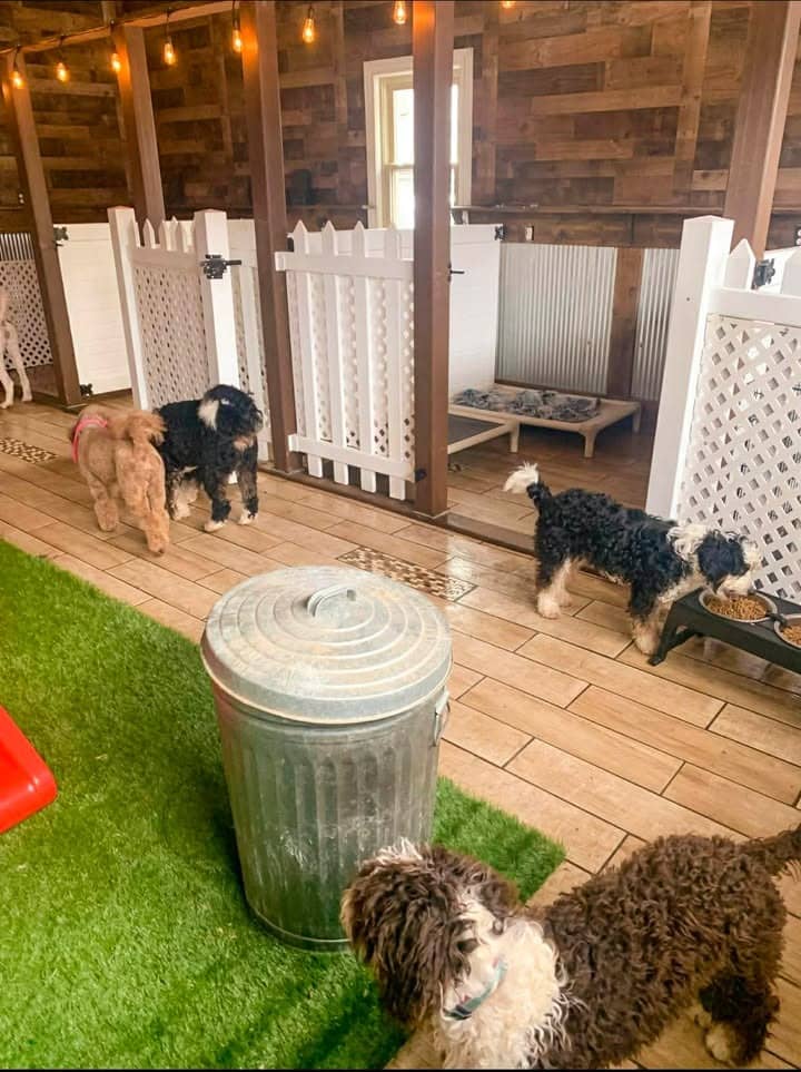 Expansive indoor puppy play structure